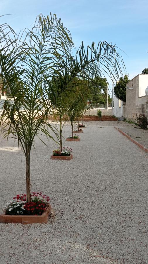 Villa Angela Chiara Porto Cesareo Esterno foto